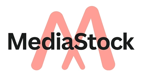 Logo de MediaStock